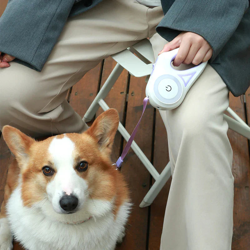 Mydogfirst - LED hundkoppel