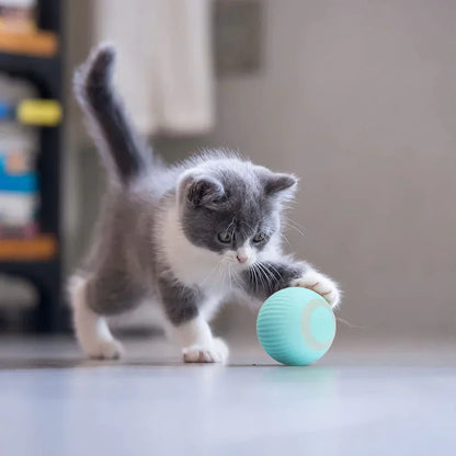 Interaktiv Kattsboll 2.0