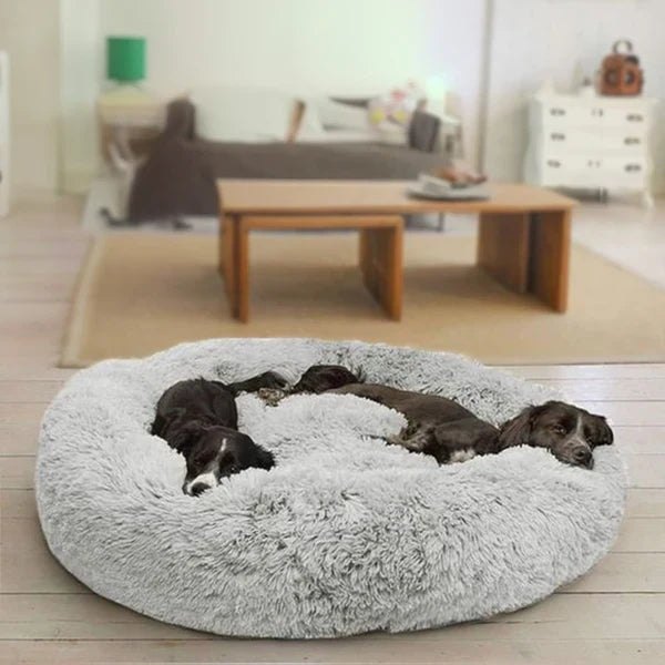 Bella&Toby - Hundsäng